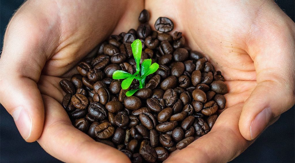 fairtrade koffie. Wereld koffiedag: passie & kwaliteit