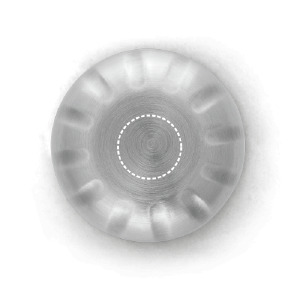Bottle lid