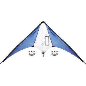 Kite