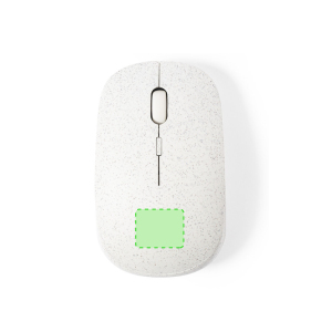 Aan het uiteinde van de muis