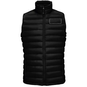 Chest
