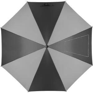 Segment 3