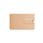 Gerecyclede plastic USB credicard van hout USB Eco