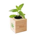 Grote bloempot bedrukken met muntzaadjes in doos EcoMint kleur hout hoofdweergave derde weergave