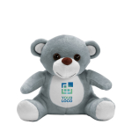 Zachte teddybeer om cadeau te geven Pooky met afdrukgebied