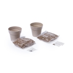 Combinatie van 2 geschenkpotten met munt- en peterseliezaadjes kleur beige tweede weergave
