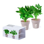 Combinatie van 2 geschenkpotten met munt- en peterseliezaadjes met jouw bedrukking