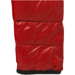 Donzen winterjas van 20D nylon en 115 g/m2 bedrukken Elevate Life