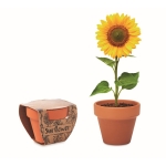 Bloempot met zonnebloempitten Girasol kleur bruin