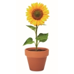 Bloempot met zonnebloempitten Girasol kleur bruin vijfde weergave