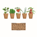 Groentenkweekset voor bedrijven Kit 5 Veggies Grow kleur beige