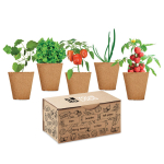 Groentenkweekset voor bedrijven Kit 5 Veggies Grow weergave met bedrukking