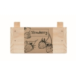 Aardbeienkweekset in houten kist mini-boomgaard Strawberry kleur hout zesde weergave