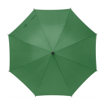 Klassieke paraplu bedrukken van RPET Ø105 kleur groen eerste weergave