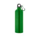 Grote aluminium fles in kleur met karabijnhaak 800ml Cruiser XL kleur lichtgroen