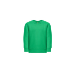 Katoenen en gerecycled polyester sweatshirt 300 g/m2 THC DELTA KIDS kleur groen