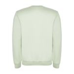 Unisex gebreide trui van katoen en polyester 280 g/m² Roly kleur mist groen tweede weergave achterkant