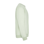 Unisex gebreide trui van katoen en polyester 280 g/m² Roly kleur mist groen derde weergave achterkant