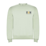 Unisex gebreide trui van katoen en polyester 280 g/m² Roly kleur mist groen weergave zeefdruk