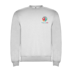 Unisex gebreide trui van katoen en polyester 280 g/m² Roly kleur lichtgrijs weergave zeefdruk