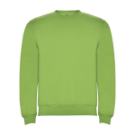 Unisex trui van katoen en polyester 280 g/m2 Roly kleur limoen groen
