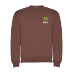 Unisex gebreide trui van katoen en polyester 280 g/m² Roly kleur taupe weergave zeefdruk