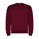 Trui voor kinderen van katoen en polyester 280 g/m2 Roly kleur bordeaux