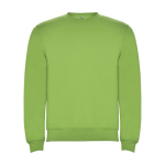 Trui voor kinderen van katoen en polyester 280 g/m2 Roly kleur limoen groen