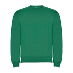 Trui voor kinderen van katoen en polyester 280 g/m2 Roly