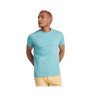 T-shirt van 100% katoen voor heren 190 g/m² Roly kleur grijs luxe weergave