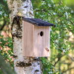 Tuinvogelhuis met 30mm opening en drainagegleuf kleur hout vijfde weergave