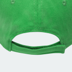 Katoenen pet met kleurdetail op de klep 255 g/m² kleur groen