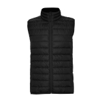 Theromosvest van lichtgewicht polyester 290 g/m² Roly kleur zwart