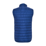 Theromosvest van lichtgewicht polyester 290 g/m² Roly kleur electrisch blauw tweede weergave achterkant