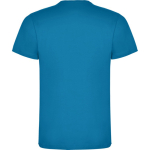 Katoenen T-shirt met korte mouwen voor mannen 165 g/m2 Roly tweede weergave achterkant