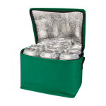 Koeltas van gerecycled non-woven materiaal voor 6 blikjes, 4L kleur groen