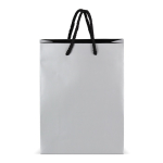 Papieren cadeautas met hengsels en zwarte binnenzijde 18x8x24 cm kleur zilver tweede weergave