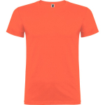 T-shirt van glad gebreid katoen 155 g/m² Roly Direct Beagle kleur turkoois eerste gebruiksweergave