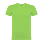 T-shirt van glad gebreid katoen 155 g/m² Roly Direct Beagle kleur lichtgroen tweede weergave