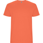 Katoenen t-shirt met logo 190 g/m² Roly Direct Stafford kleur turkoois eerste gebruiksweergave