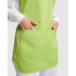 Uniseks omkeerbaar schort met twee zakken 195 g/m² Roly Arzak kleur pistache groen detailweergave 1