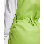 Uniseks omkeerbaar schort met twee zakken 195 g/m² Roly Arzak kleur pistache groen detailweergave 2