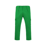 Werkbroek van polyester en katoen 240 g/m² Roly Daily kleur gras groen tweede weergave