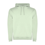 Sweater van katoen en polyester 280 g/m² Roly Direct Urban kleur mist groen tweede weergave