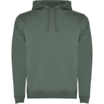 Sweater van katoen en polyester 280 g/m² Roly Direct Urban kleur miliair groen eerste gebruiksweergave