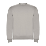 Trui van katoen en polyester 280 g/m² Roly Direct Clasica kleur grijs tweede weergave