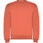 Trui van katoen en polyester met geribbelde manchetten 280 g/m² Roly Direct Clasica kleur turkoois eerste gebruiksweergave