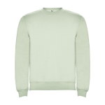 Trui van katoen en polyester 280 g/m² Roly Direct Clasica kleur mist groen tweede weergave