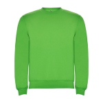 Trui van katoen en polyester 280 g/m² Roly Direct Clasica kleur lichtgroen tweede weergave