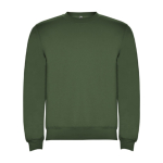 Trui van katoen en polyester 280 g/m² Roly Direct Clasica kleur donkergroen tweede weergave